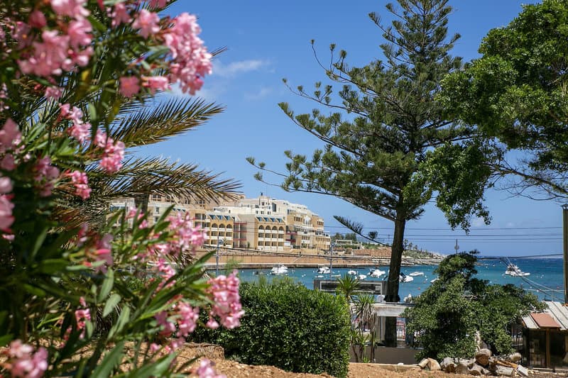 Beach Garden Hotel foto 4