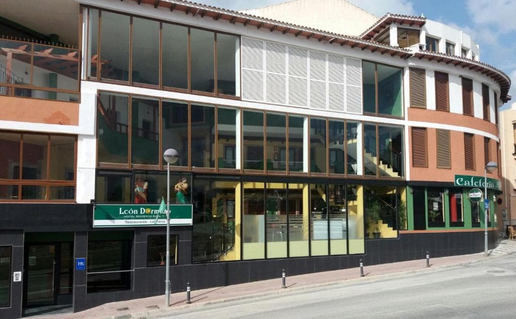 León Dormido foto 1