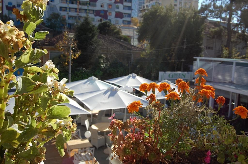 Green House foto 2
