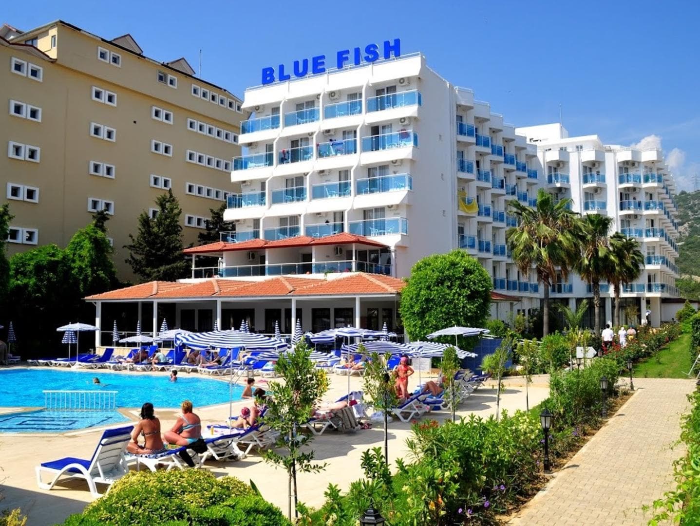 Blue Fish Hotel foto 3