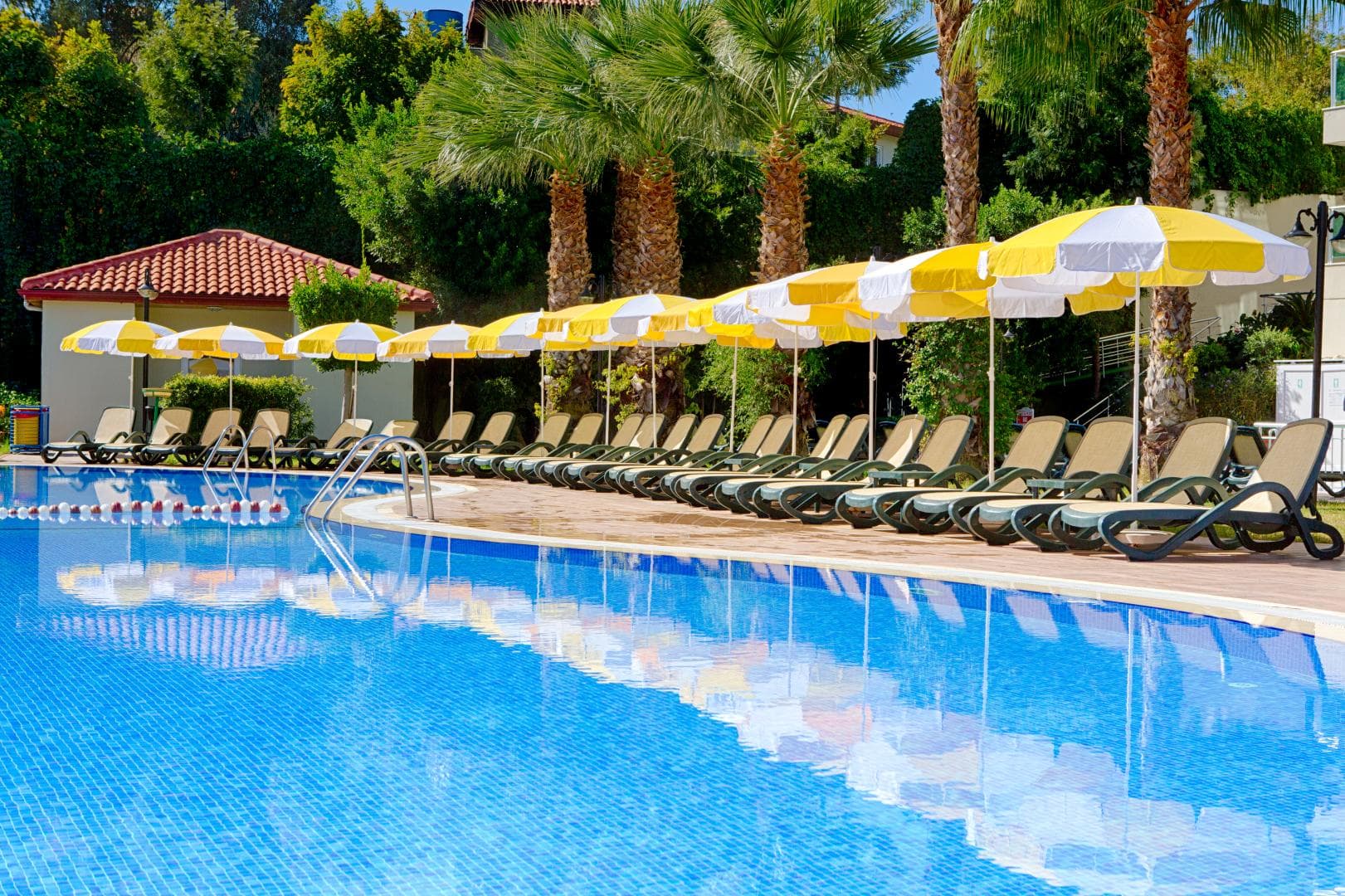 Gardenia Beach foto 1
