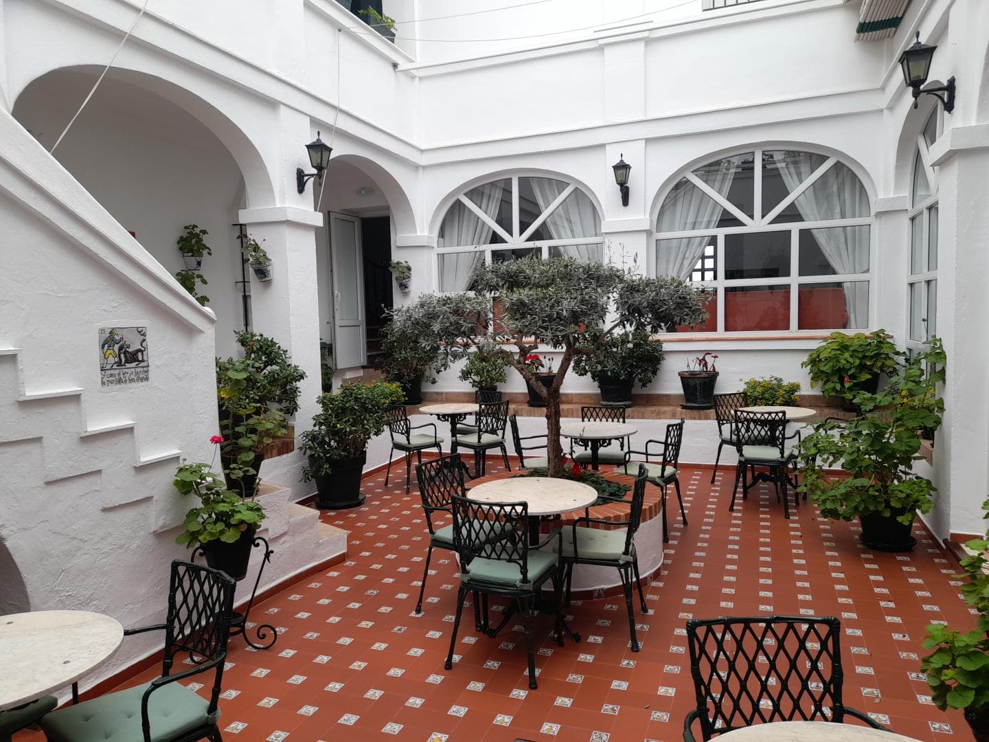 Los Olivos foto 1
