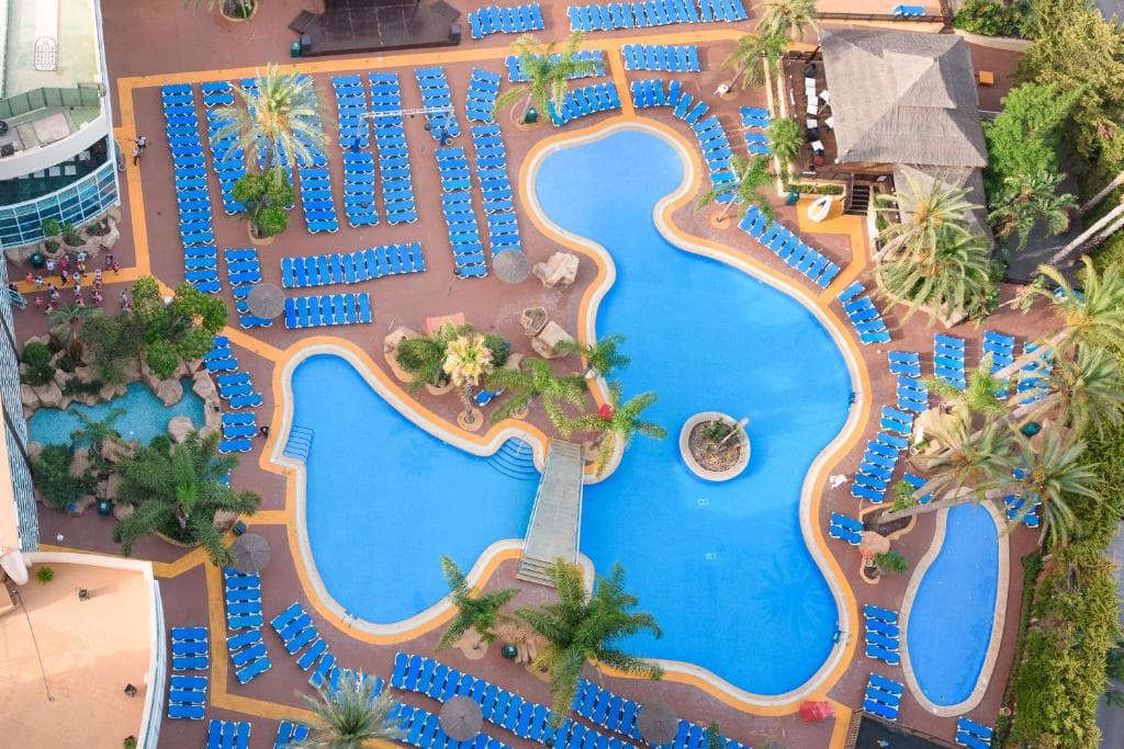 Flamingo Oasis foto 4