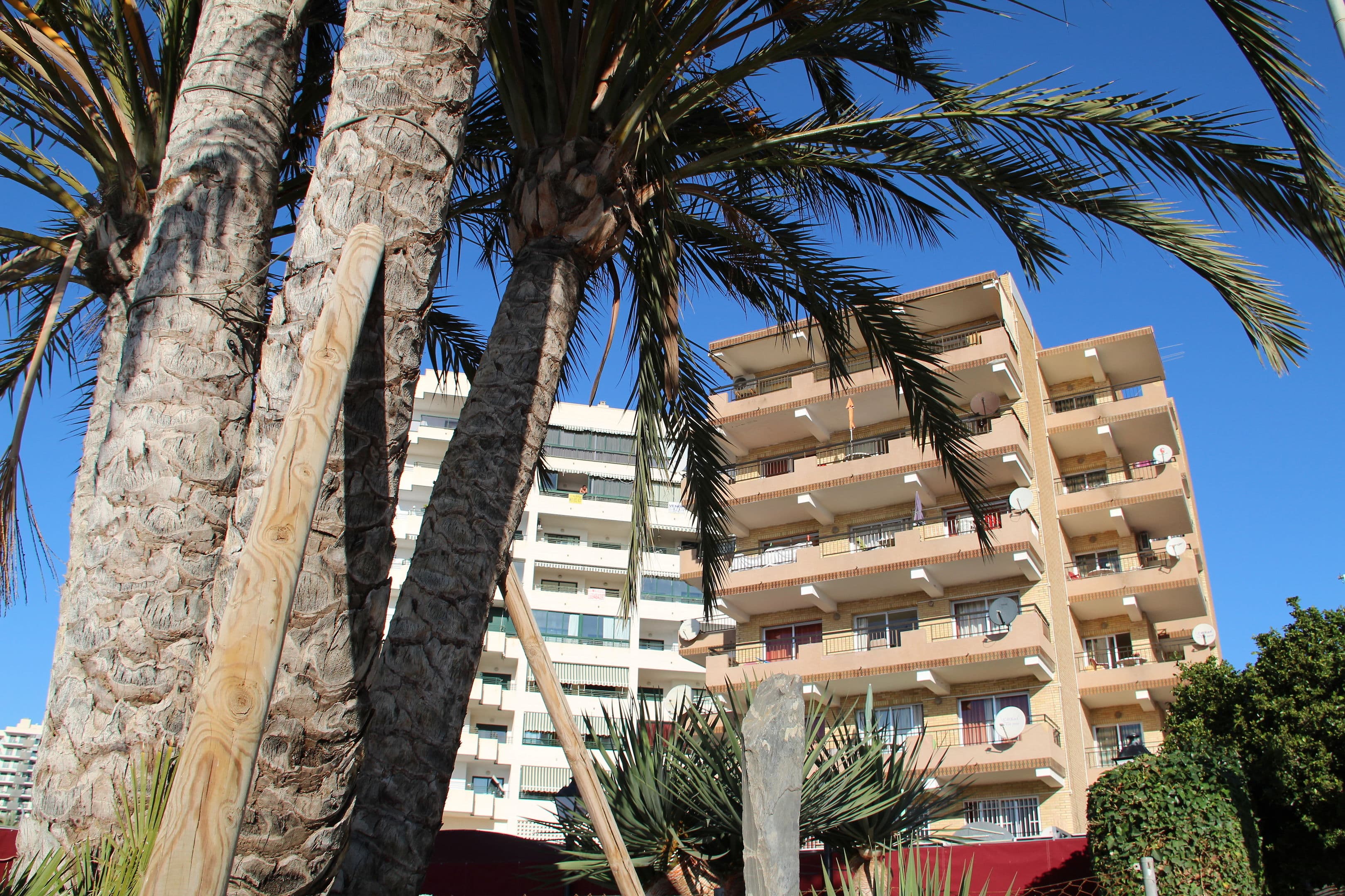 Apartamentos Odisea Villajoyosa photo 5