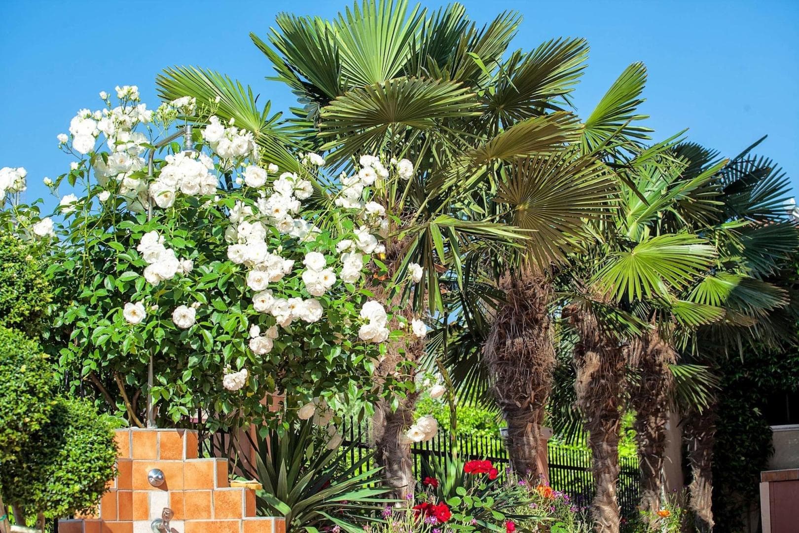 Casa Di Mare Poseidon foto 1