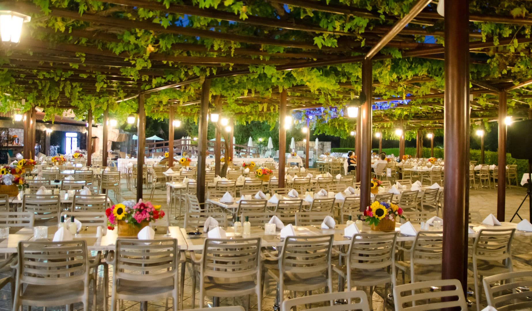 Rodon Mount Hotel & Resort foto 3