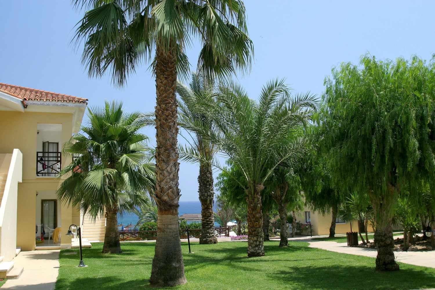Malama Beach Holiday Village foto 1