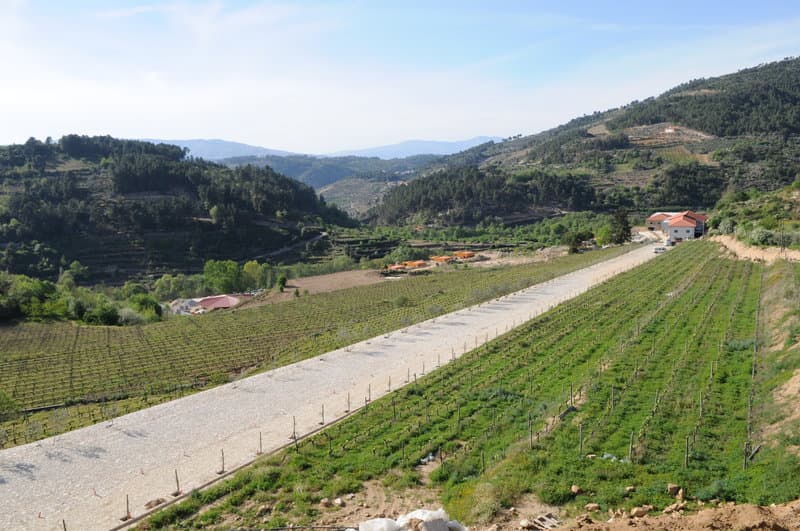 Douro Cister Hotel & SPA foto 4