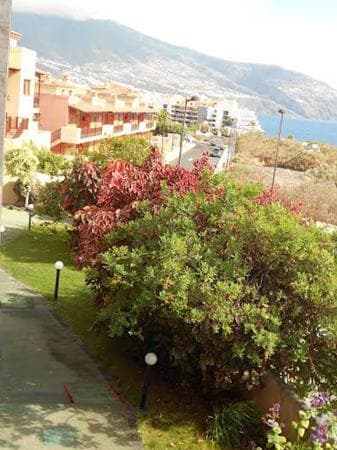 El Cerrito Apartamentos Los Cancajos photo 5