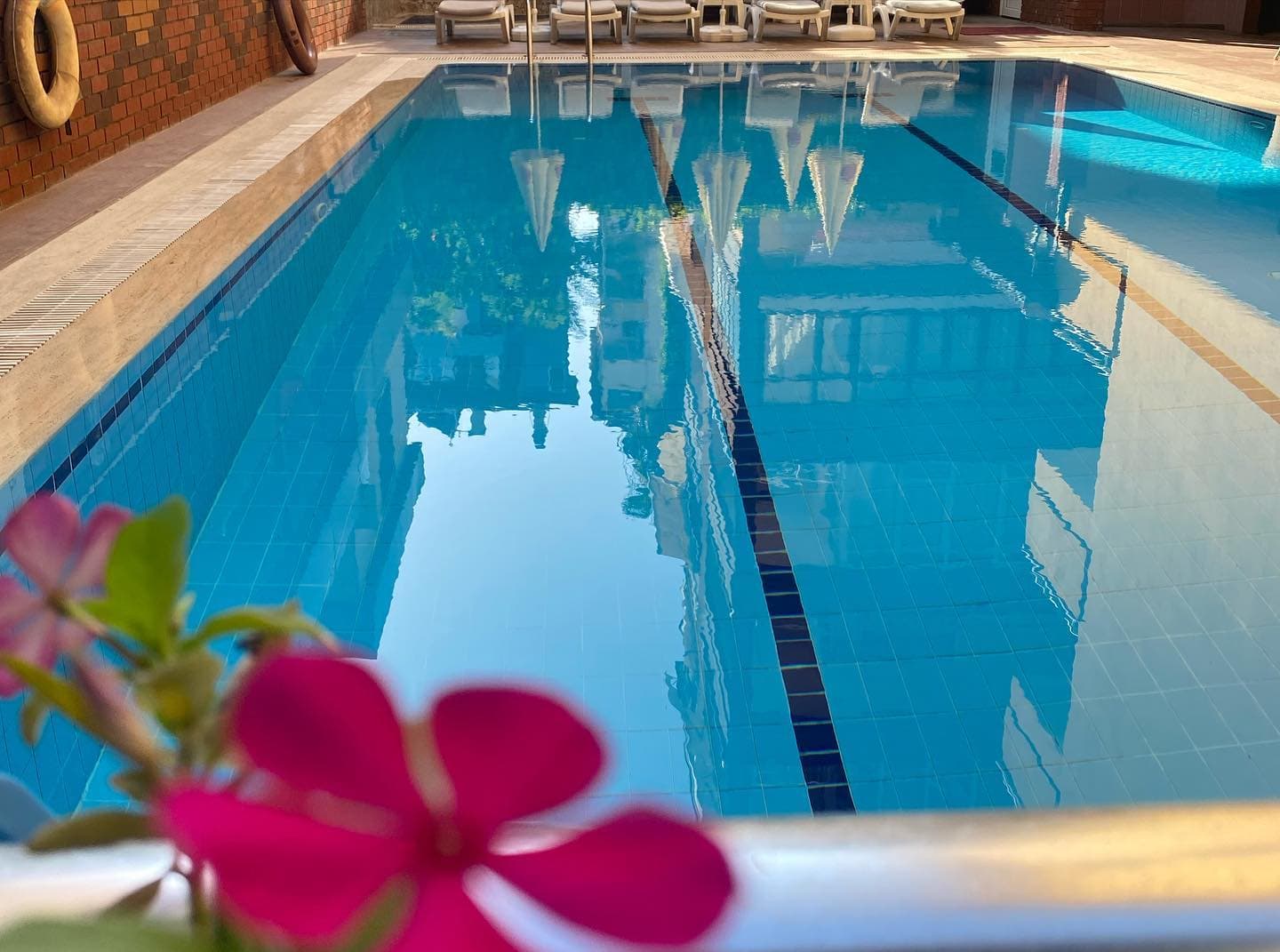 Novis Hotel Cleopatra foto 1