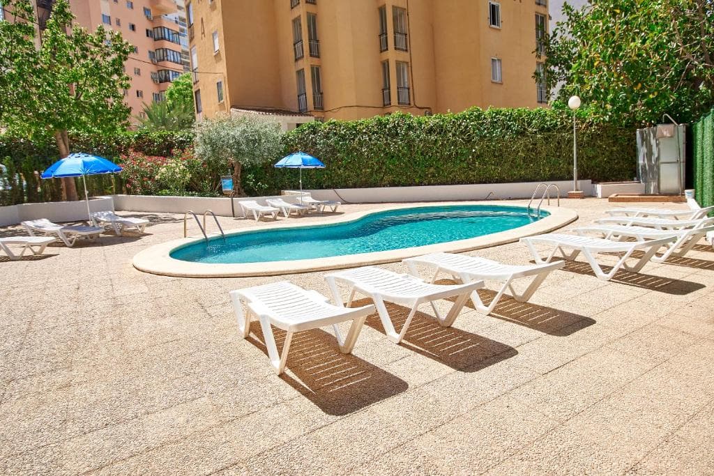 Don Gregorio Apartmentos Benidorm photo 5