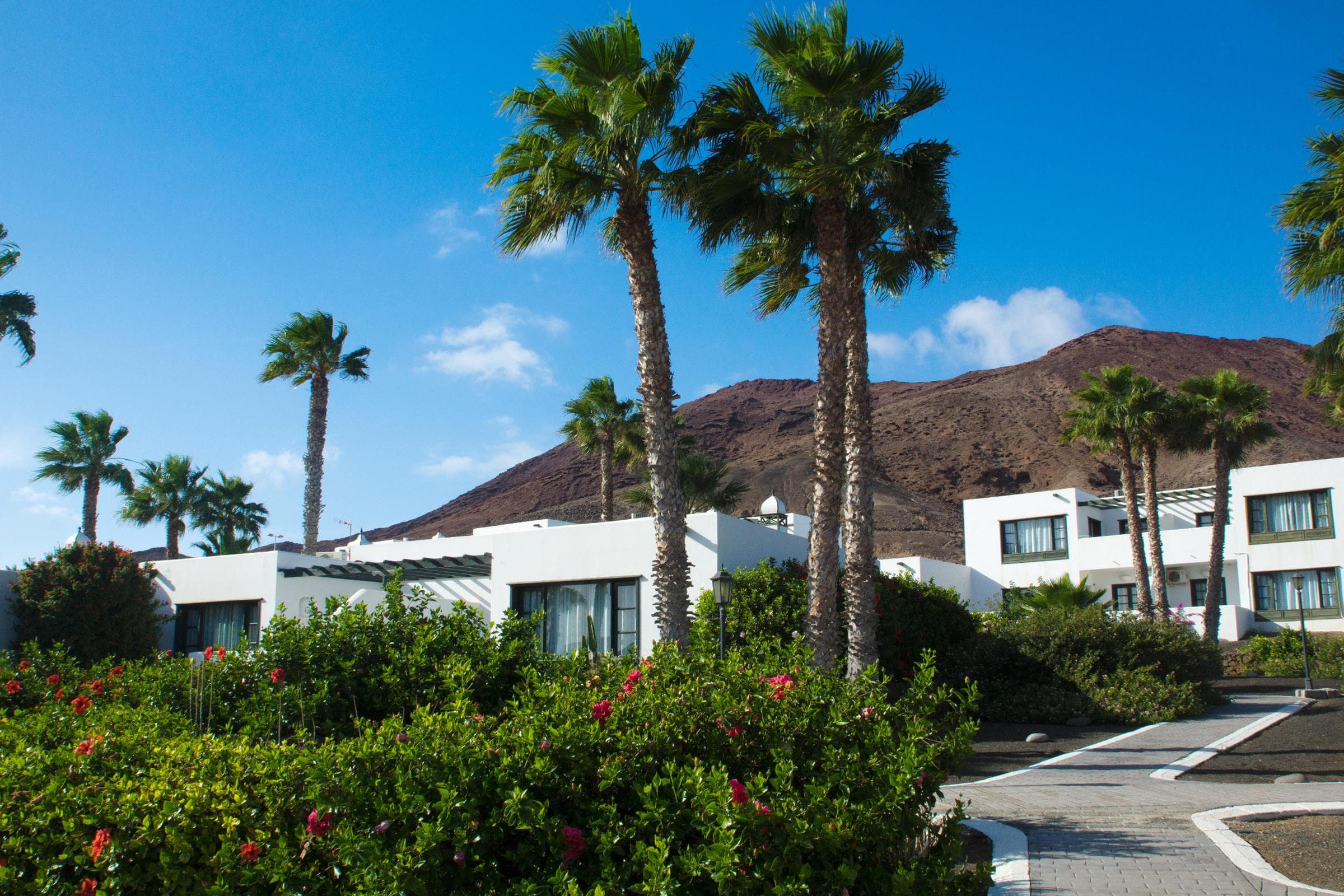 Palmeras Garden Playa Blanca photo 5