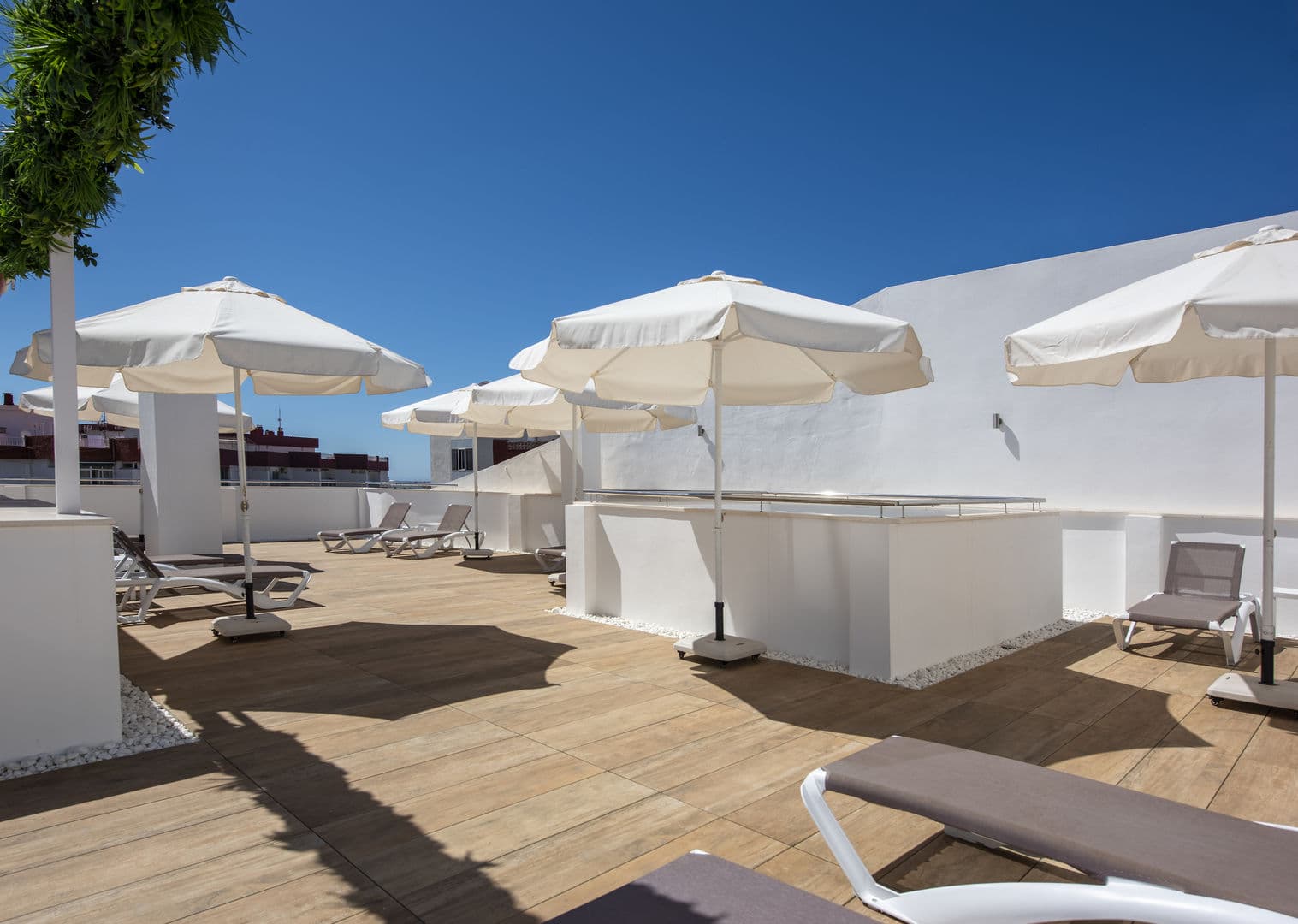 Hotel Toboso Chaparil foto 4