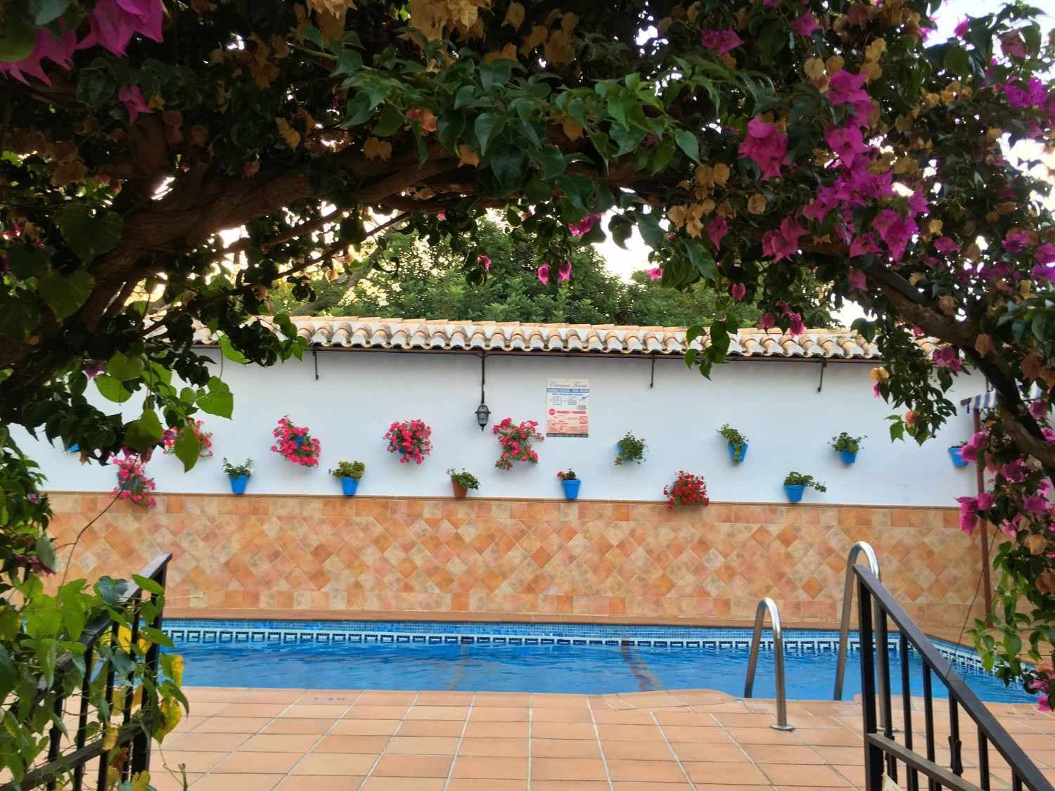 Carmen Teresa Torremolinos photo 5