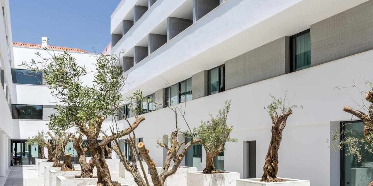 Évora Olive Hotel foto 1