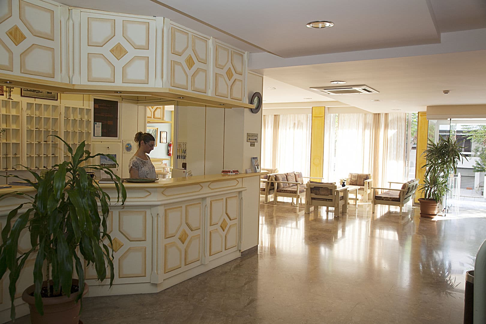 Hotel Theonia foto 4