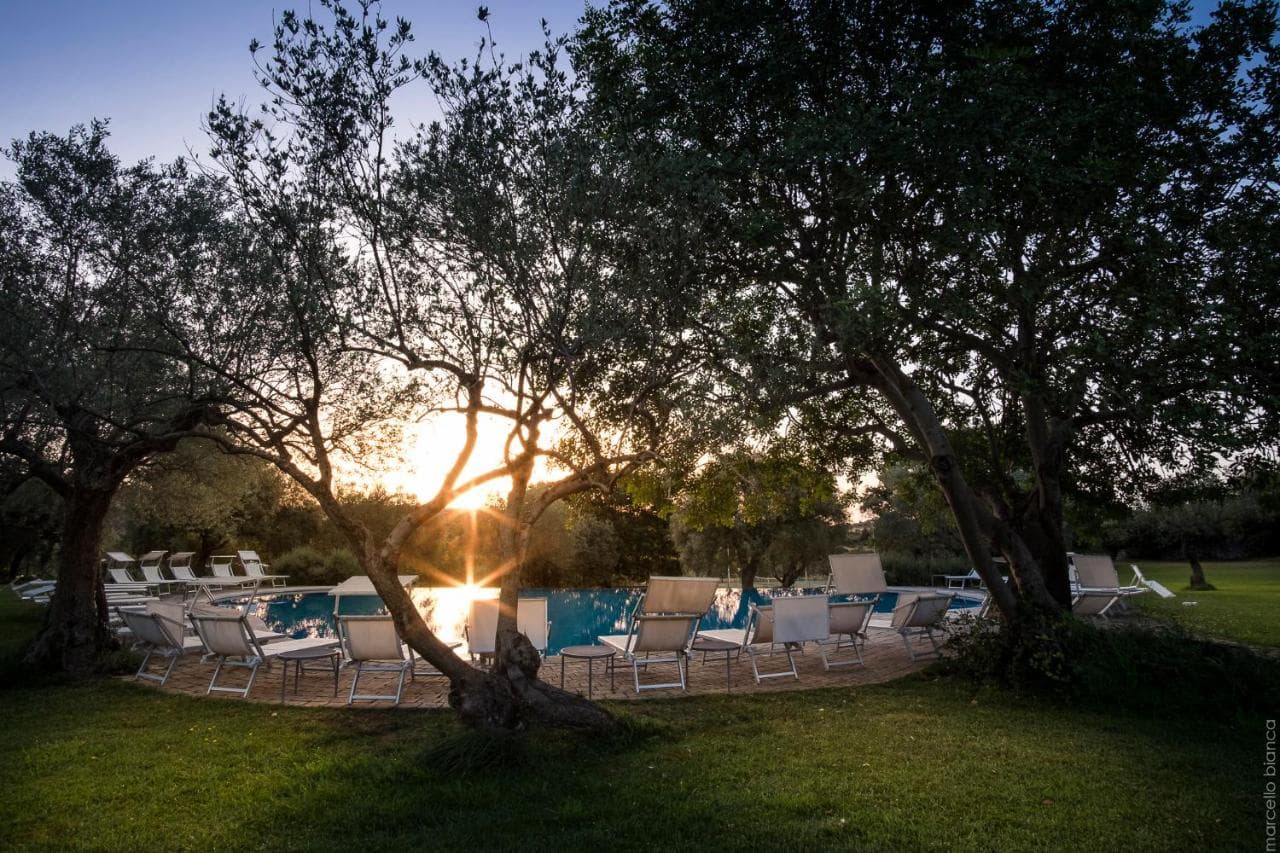 Masseria degli Ulivi foto 4