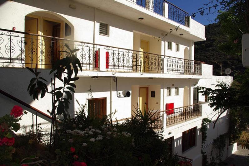 Ostria foto 2