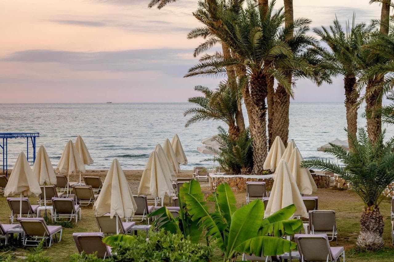 Zeus Hotels Palm Beach foto 4