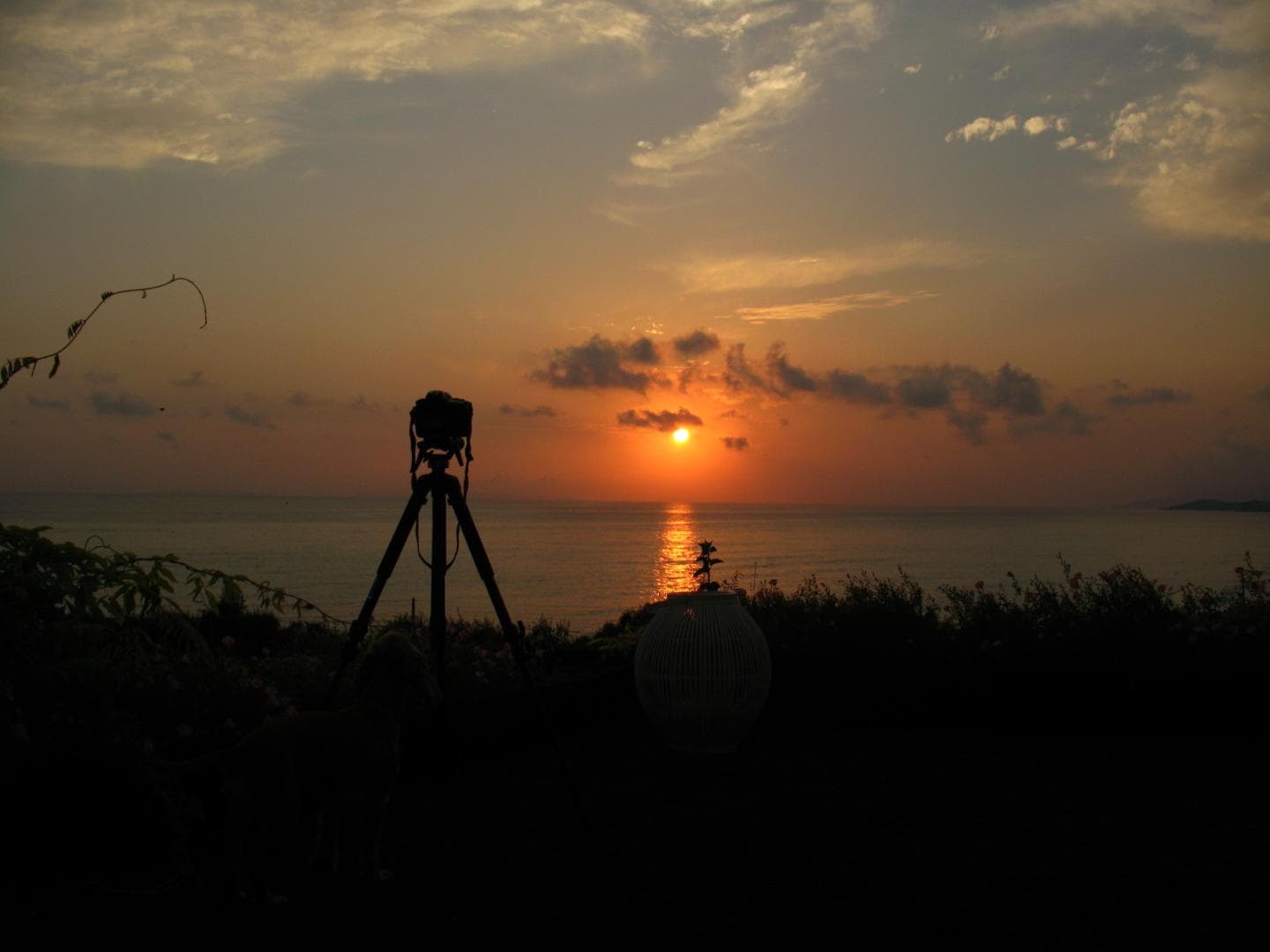 Palmina Mare foto 1