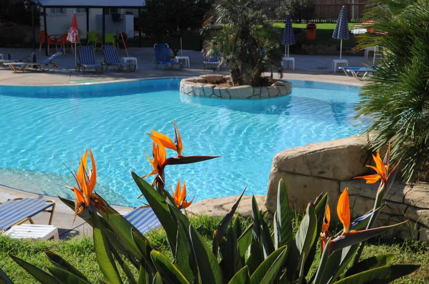Mayfair Gardens Paphos photo 5