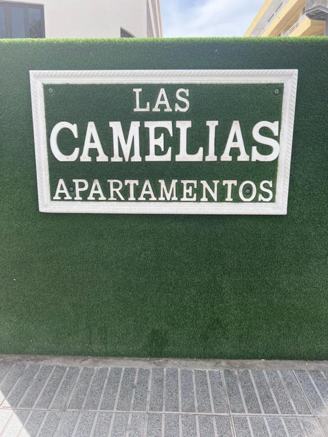 Las Camelias foto 1