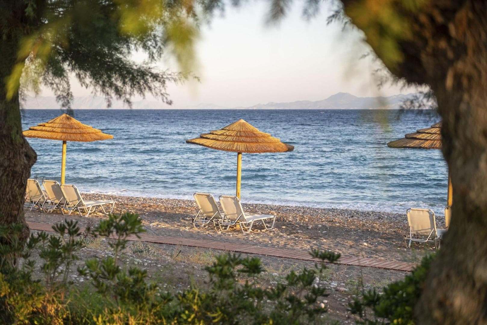 D'Andrea Mare Beach Hotel foto 2