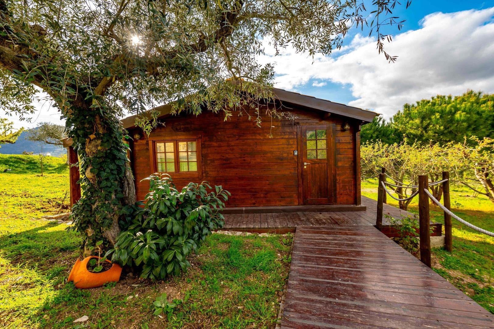 Quinta Do Quinto foto 2