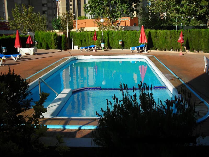 Alpha Benidorm photo 5