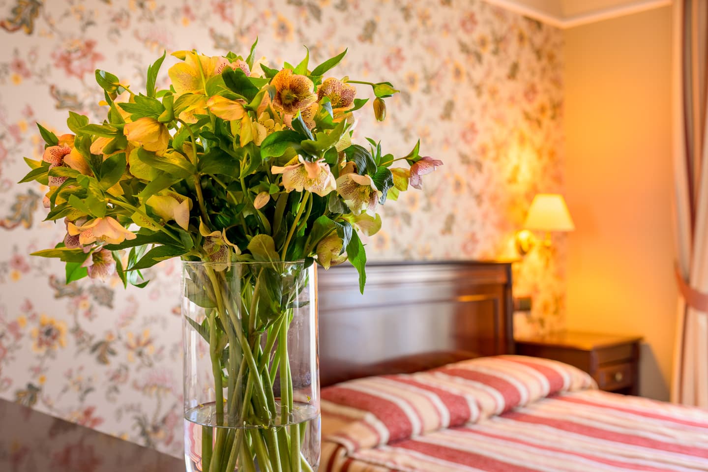 Hotel Boutique Splendid foto 2