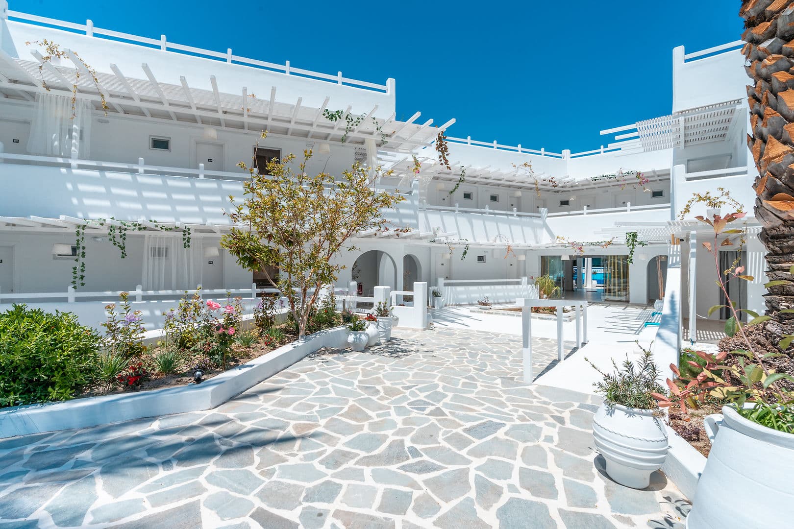 Aloe Hotel foto 4