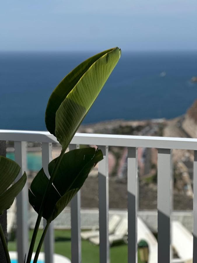 Serinity Amadores Apartments foto 3