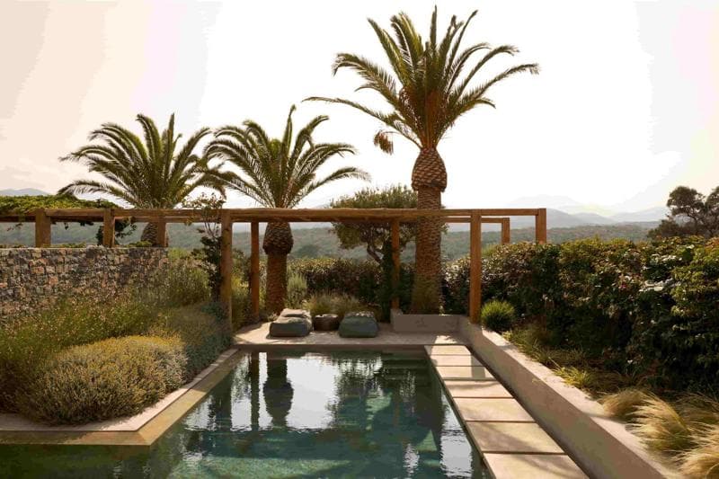 Minos Palace hotel & suites foto 1