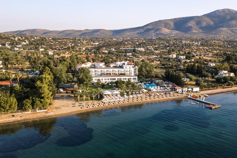 Brown Beach Evia Island foto 1