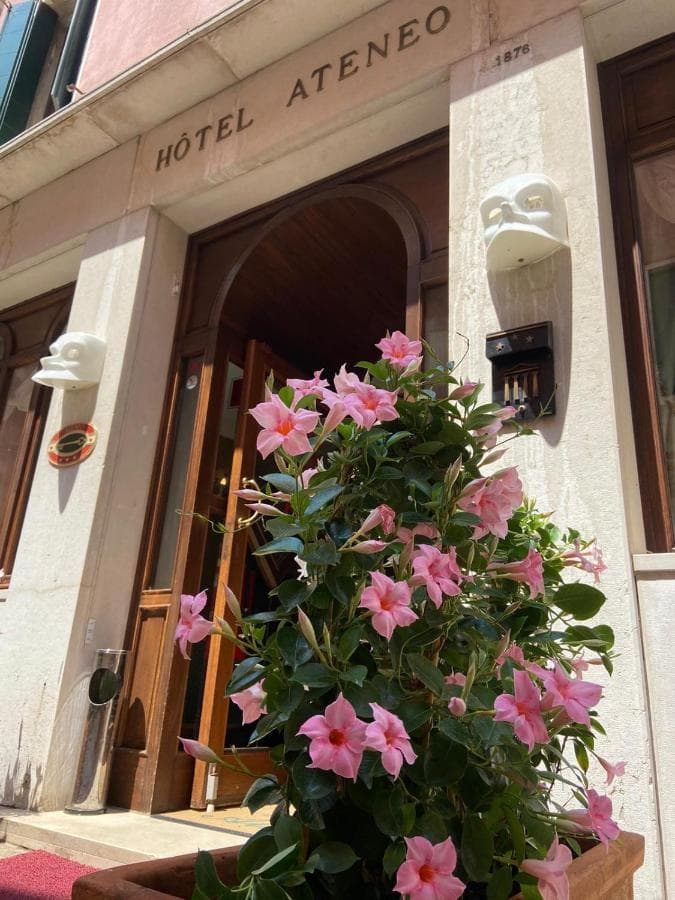 Hotel Ateneo Venetië photo 5