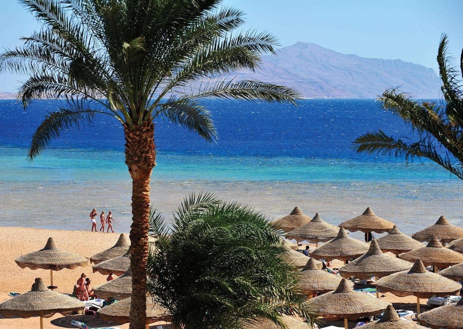 Baron Palms Sharm El Sheikh Sharm el Sheikh photo 5