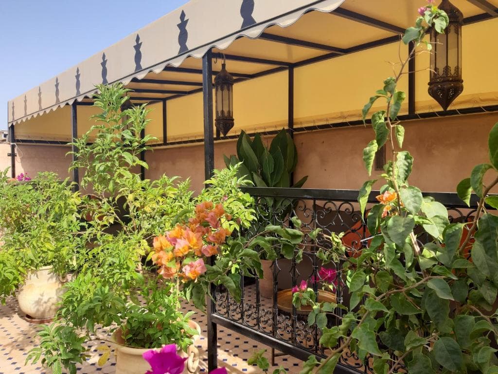 Riad Miral foto 4