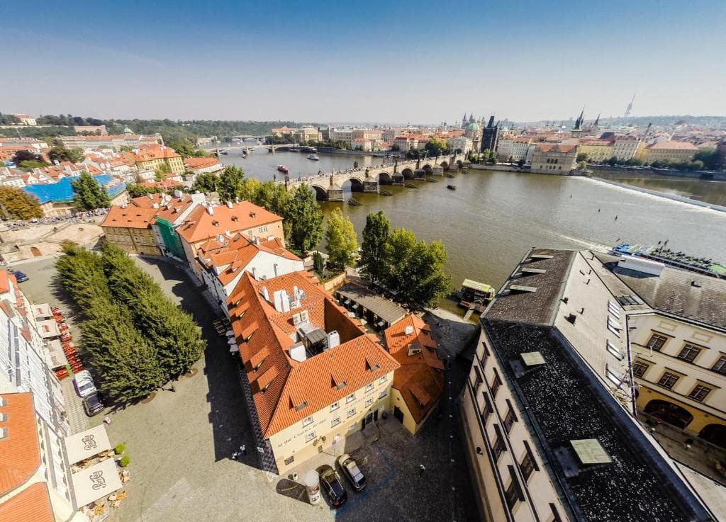 Archibald At The Charles Bridge foto 1