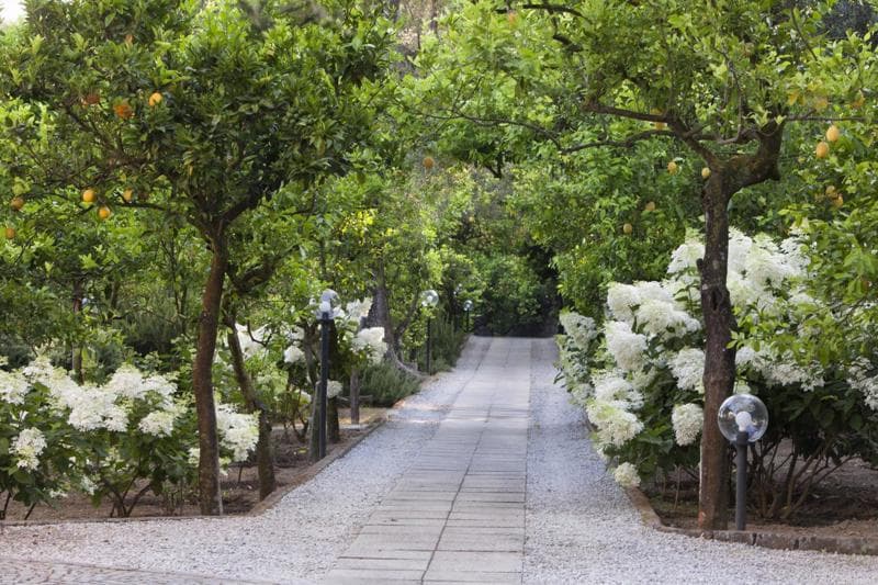 Villa Oriana Relais foto 4