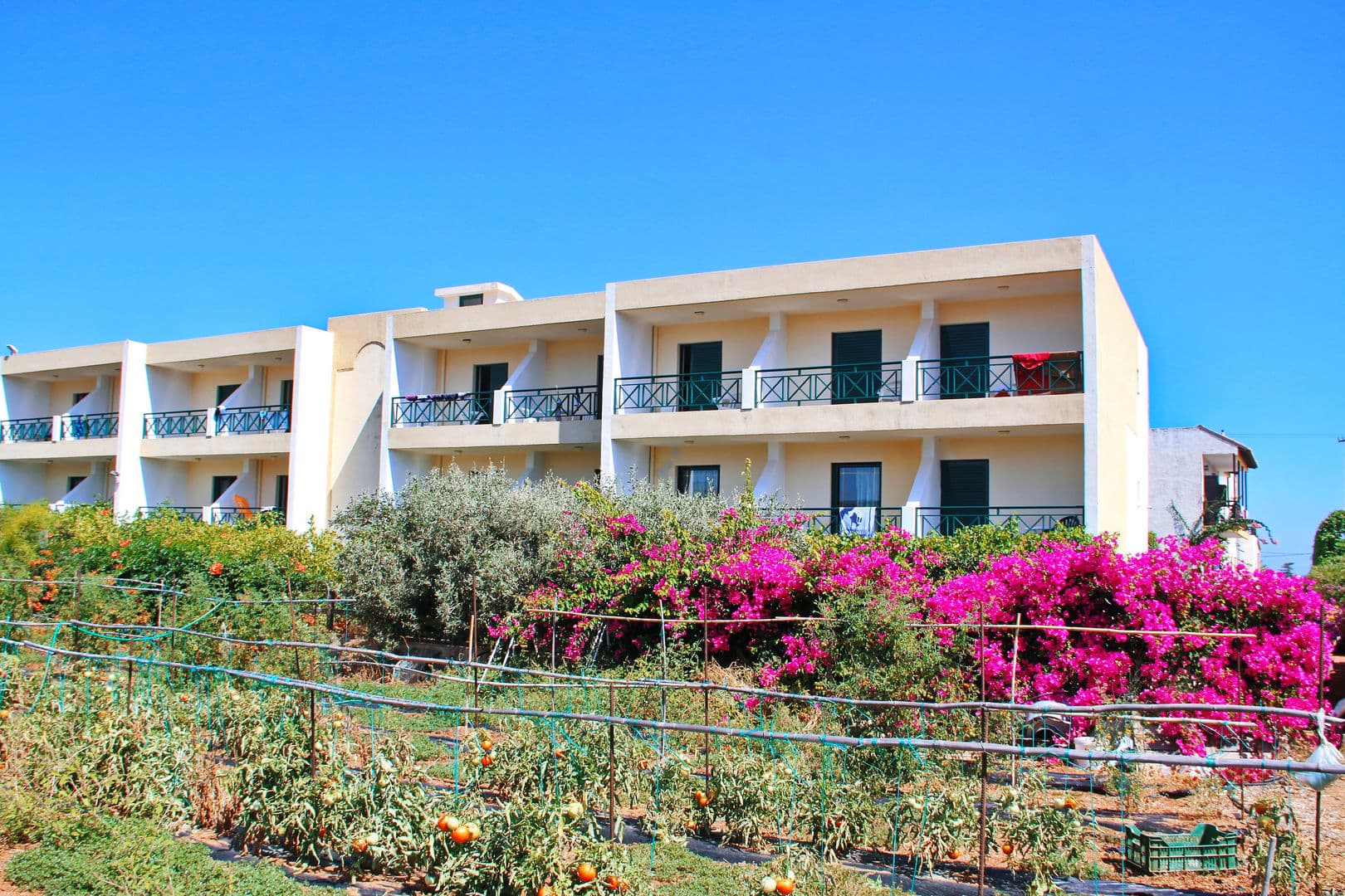 Hotel Despo foto 2