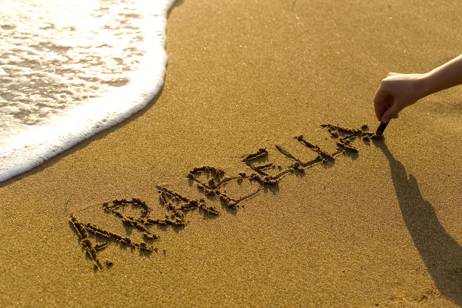 Arabella World Avsallar photo 5