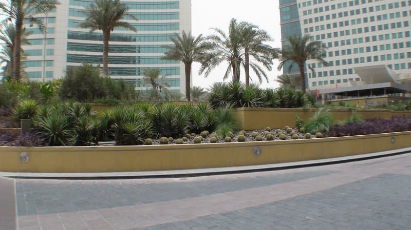 Crowne Plaza Dubai - Festival City foto 4
