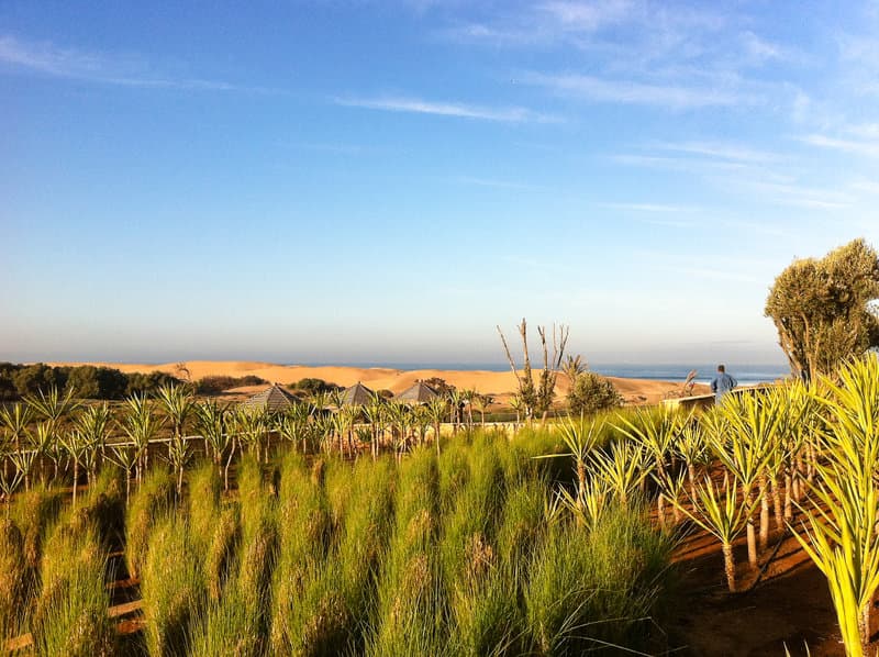 ROBINSON Agadir foto 4