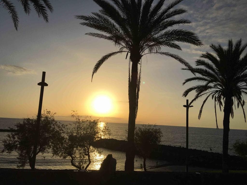 Ona Palm Beach Playa de las Americas photo 5