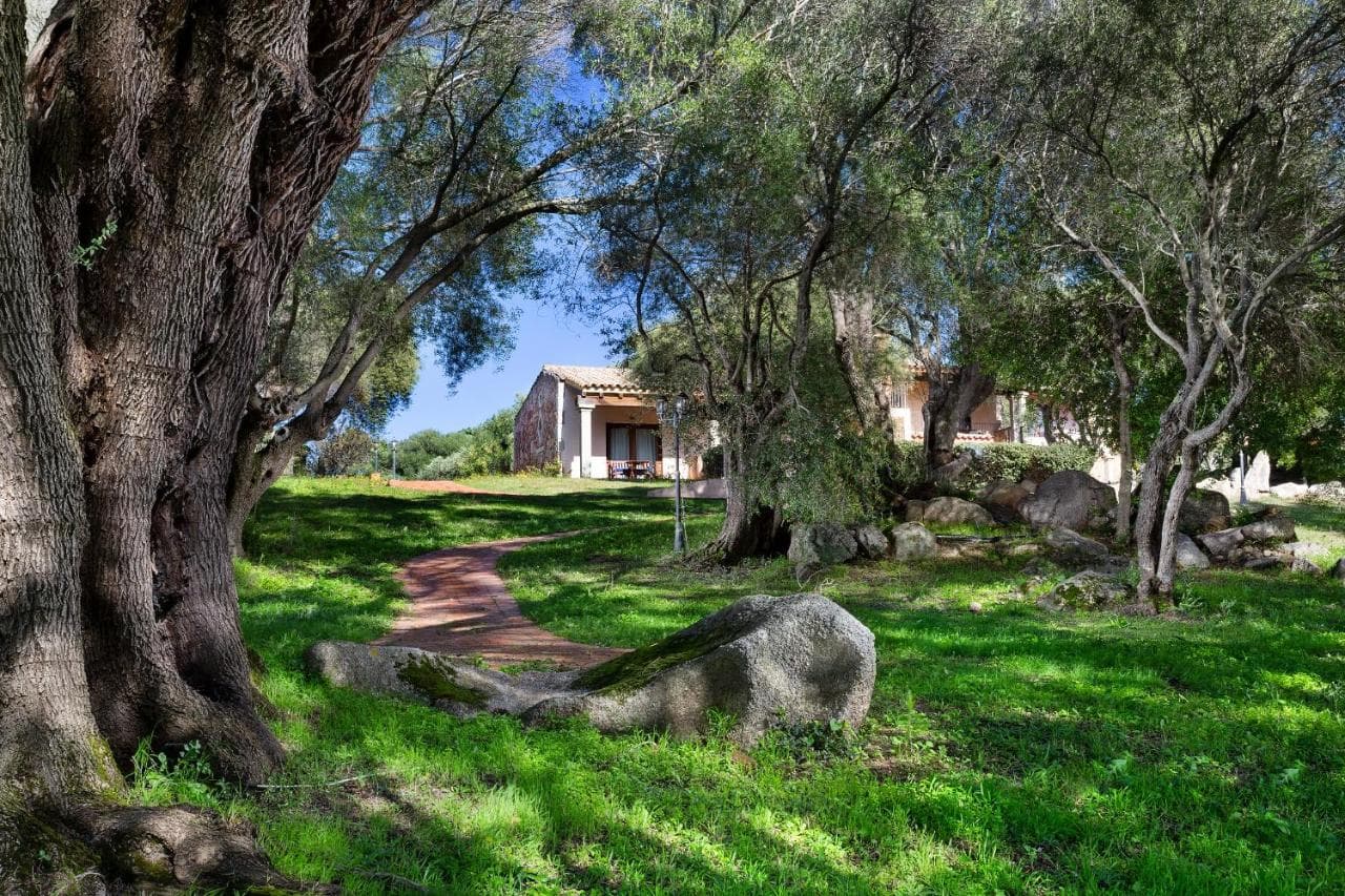 Parco Degli Ulivi Arzachena photo 5