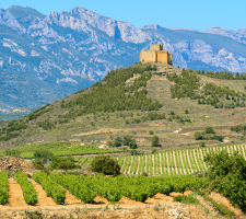 La Rioja vacation photos