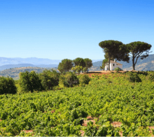 Villafranca vacation photos