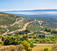 Ubeda vacation photos