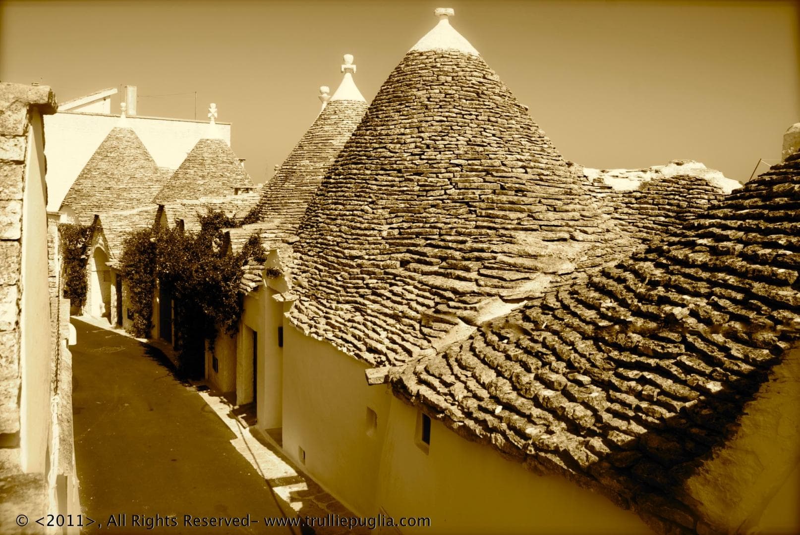 Trulli e Puglia foto 4