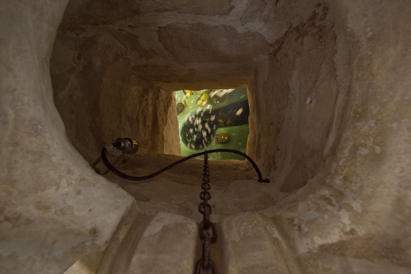 Trulli e Puglia foto 2